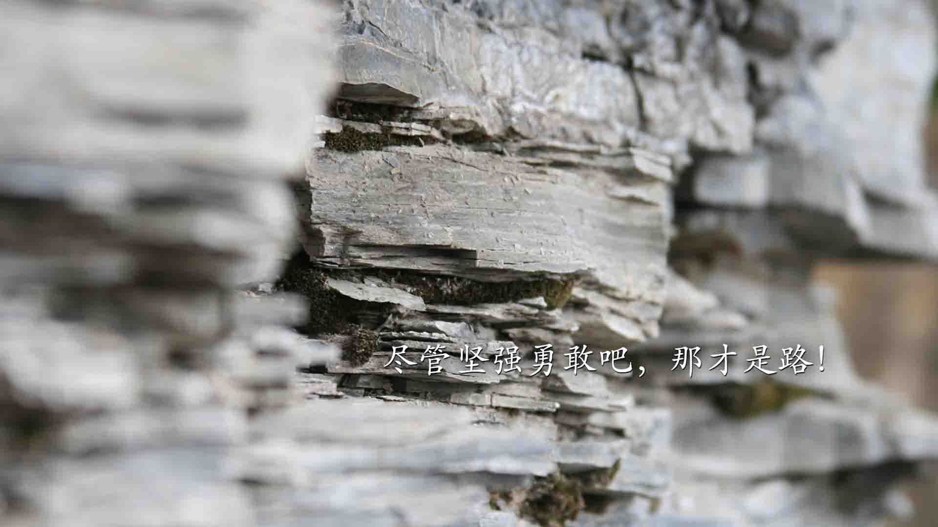 西班牙人击败赫塔菲,结束连败势头,西班牙人对赫塔菲