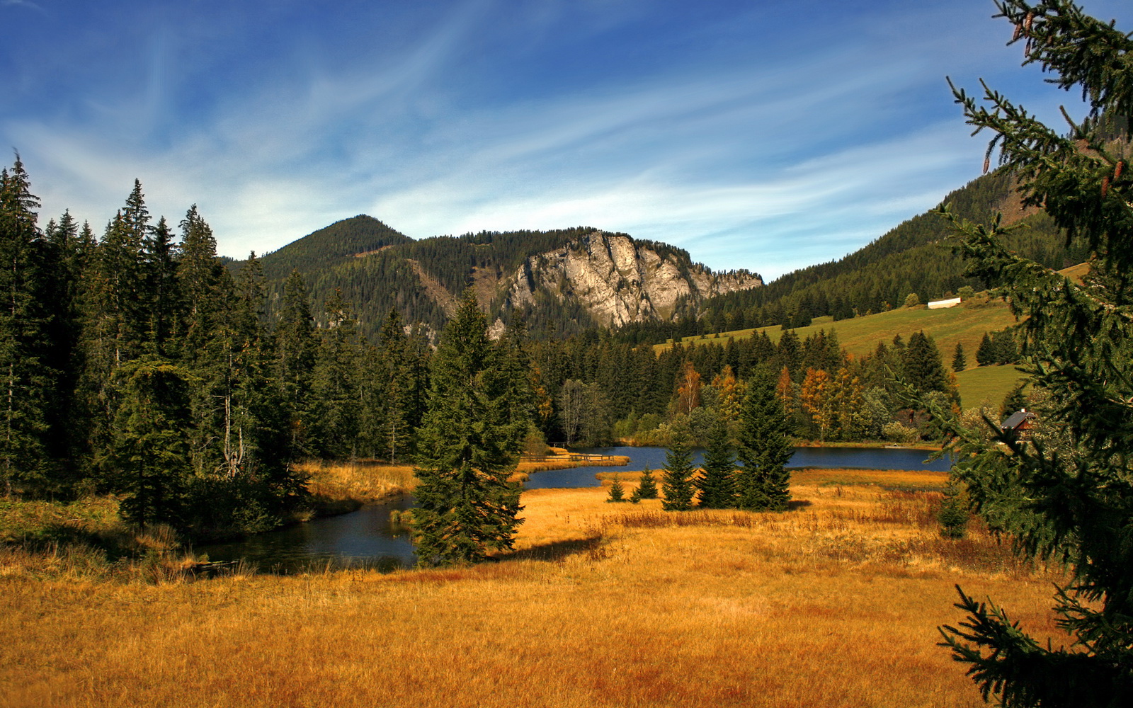 爱游戏中国官方登录入口网站-青少年篮球培养体系改革创新，青少年篮球培训体系