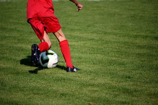 爱游戏电竞-中国青少年篮球运动员伤病防控体系建设，青少年篮球训练现状分析