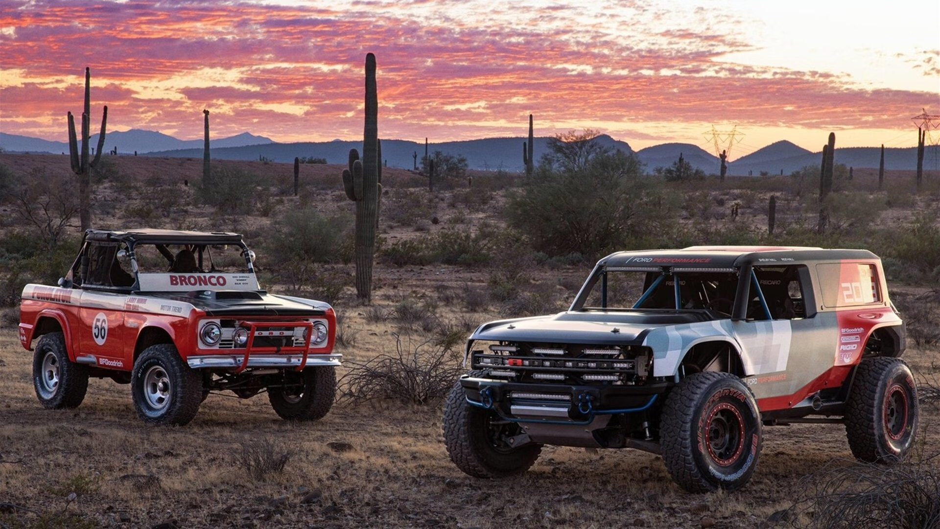 全国沙滩龙舟赛夏日激情开赛,沙尾龙舟视频