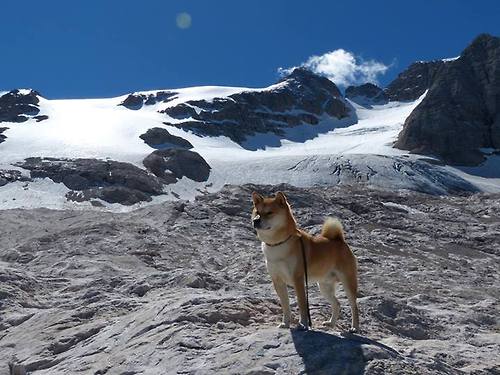 爱游戏官网-国足球员年龄梯队表现分布