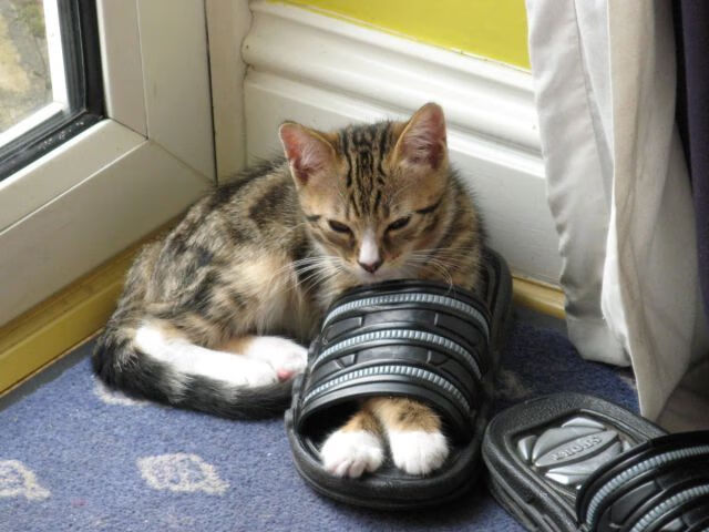 中国女足新任队长接受专访谈备战细节,中国女足足球队队长