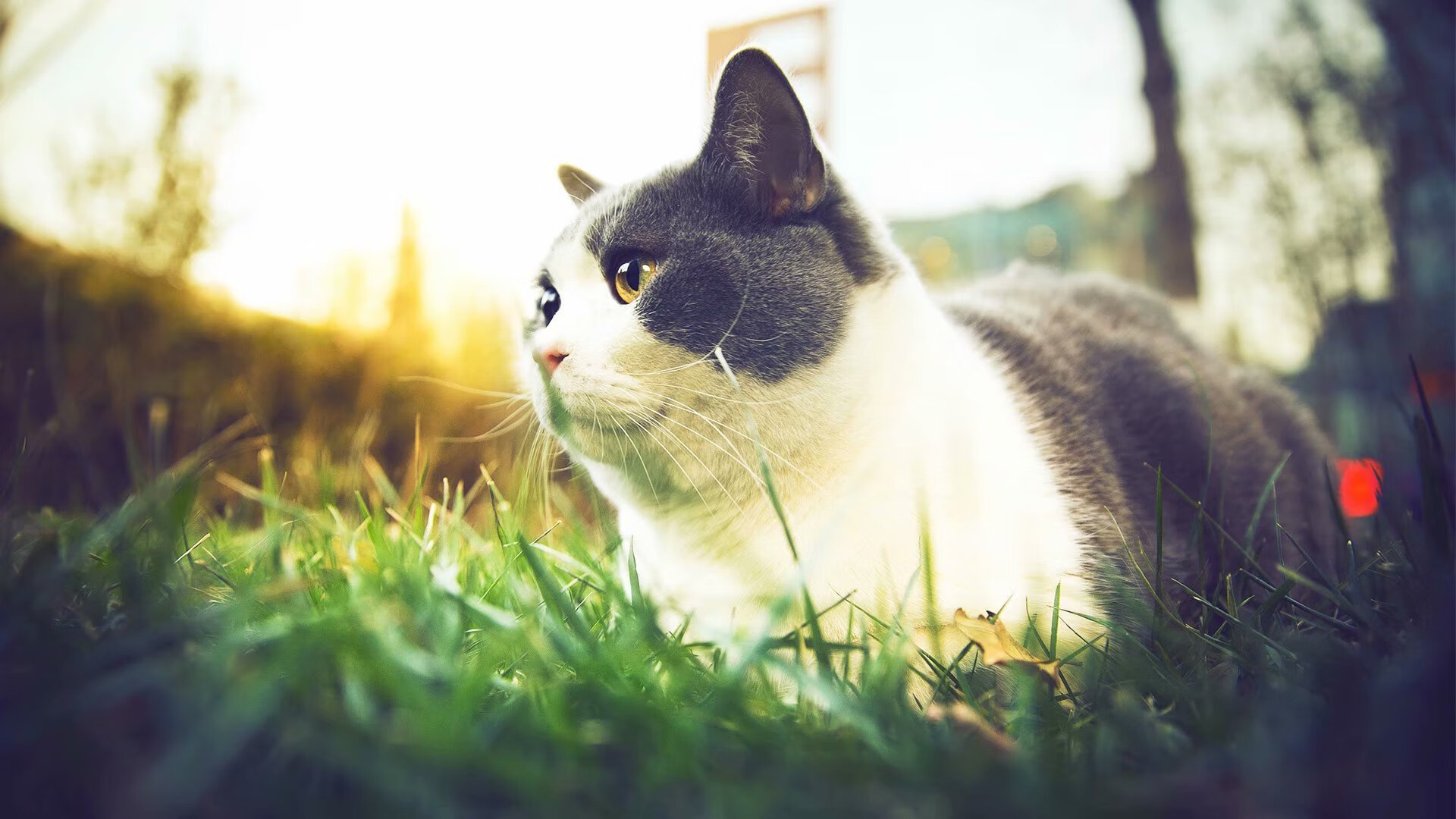 短距离女将发挥稳定夺铜