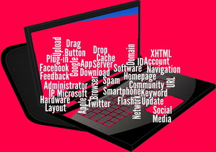 爱游戏平台-CBA开展球员社交媒体管理课程提高职业素养，运动员社交媒体