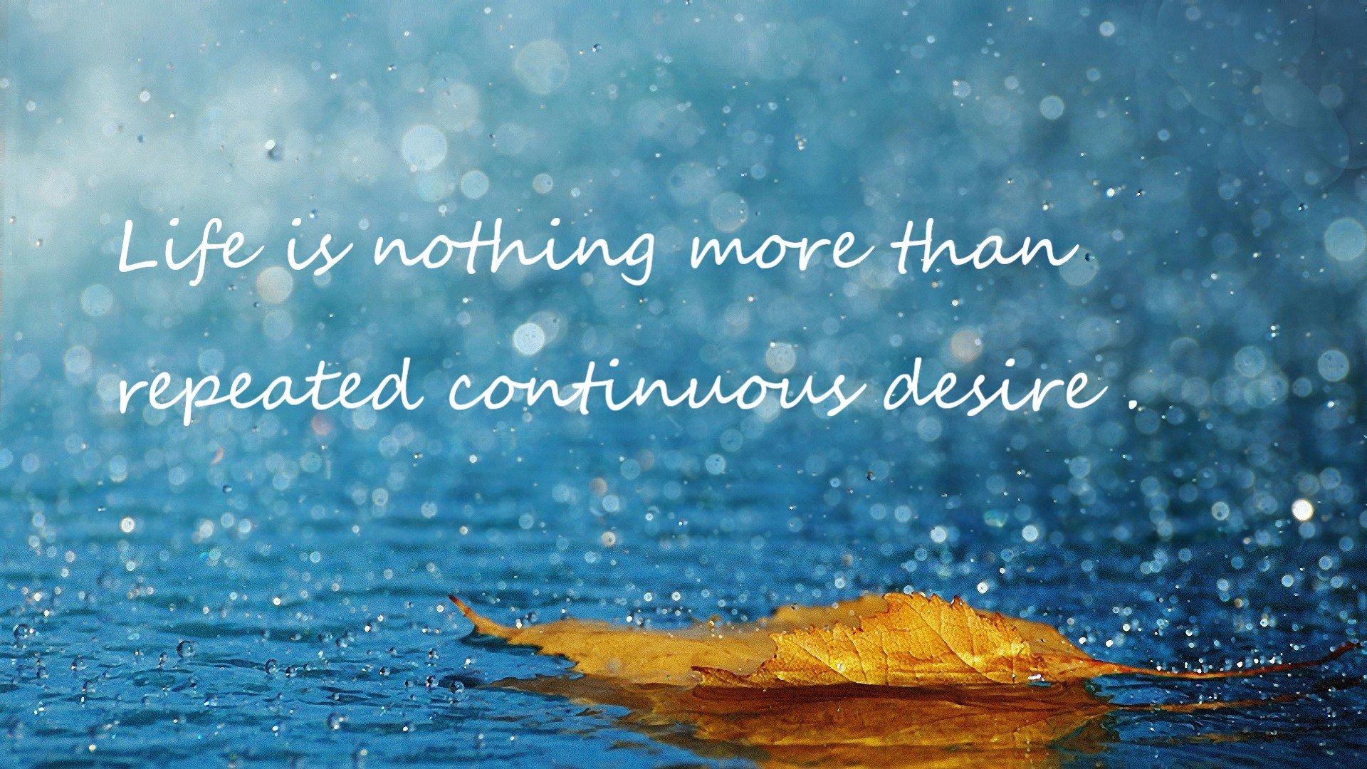 “马科斯·梅特罗的强悍防守与精妙进攻,为阿根廷美洲狮队注入强大力量”