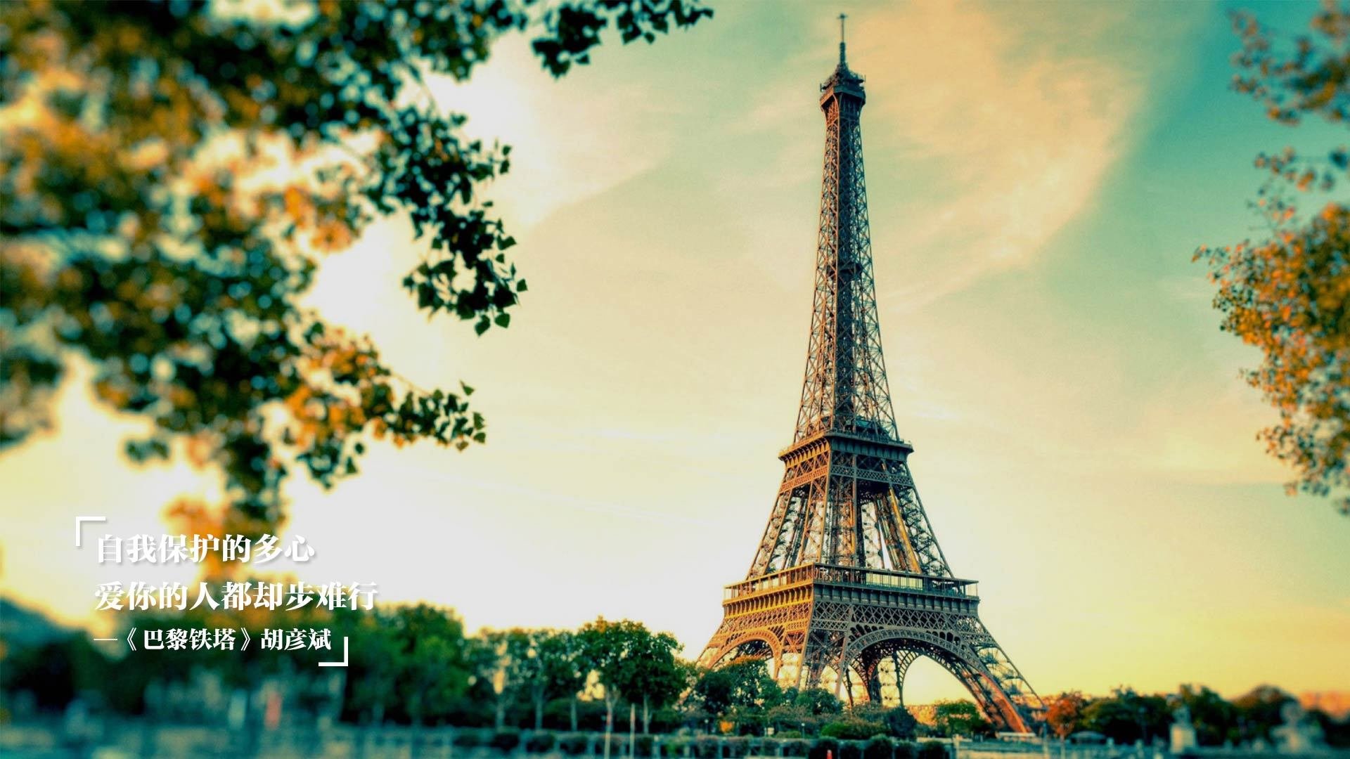 专业摄影捕捉高光时刻定格精彩瞬间激发更多观众情绪,好的摄影师捕捉瞬间