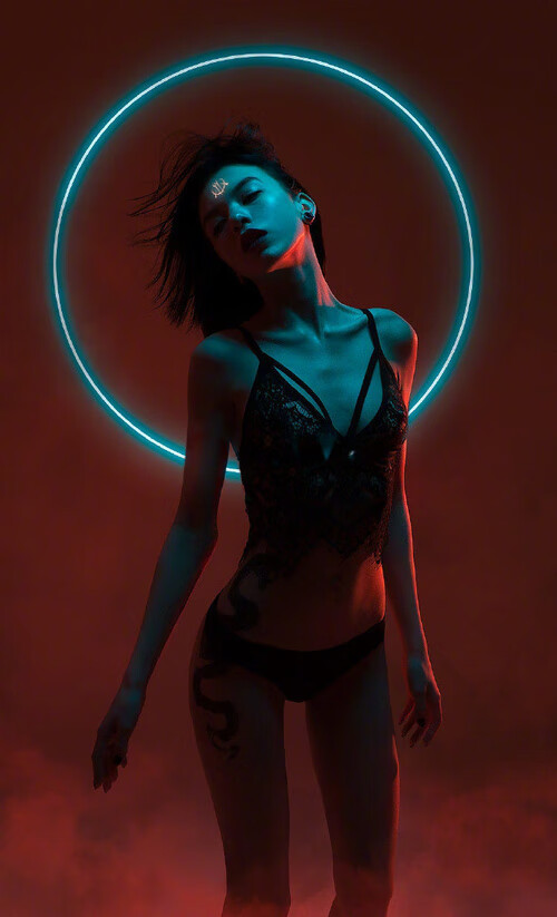 南非橄榄球的青训体系为世界橄榄球培养顶级球员,南非橄榄球冠军