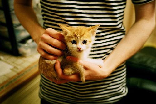 AYX GAME-字母哥快速转身突破直插篮下完成暴扣，字母哥进nba